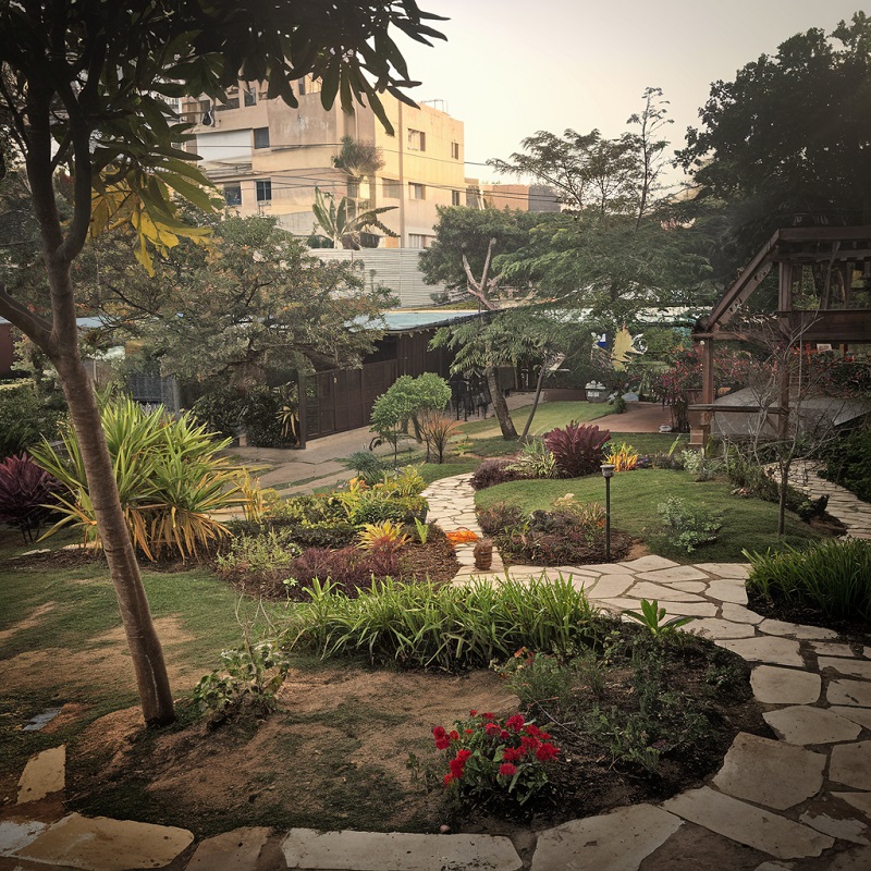 Is Bengaluru Shedding Its Appeal because the ‘Backyard Metropolis’?