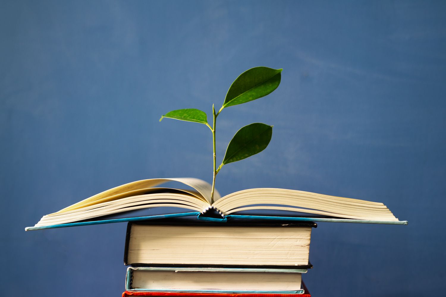 10 Ought to-Study Environmental Books